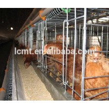 Vollautomatisches Broilerkäfigsystem für Geflügel